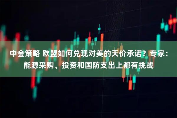 中金策略 欧盟如何兑现对美的天价承诺？专家：能源采购、投资和国防支出上都有挑战