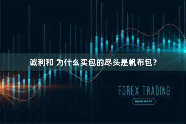 诚利和 为什么买包的尽头是帆布包?