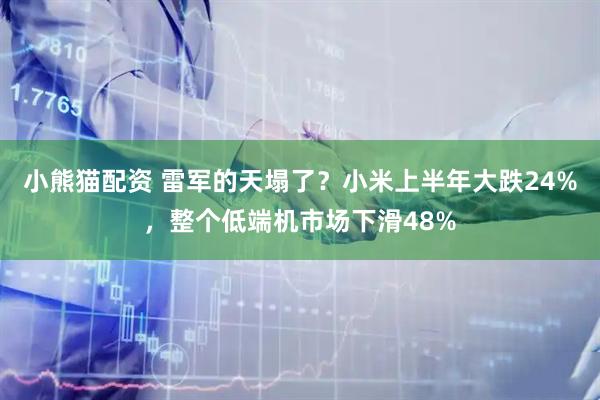 小熊猫配资 雷军的天塌了？小米上半年大跌24%，整个低端机市场下滑48%